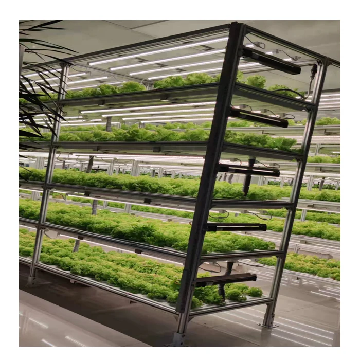 Гидропонные вертикальные системы выращивания фермы