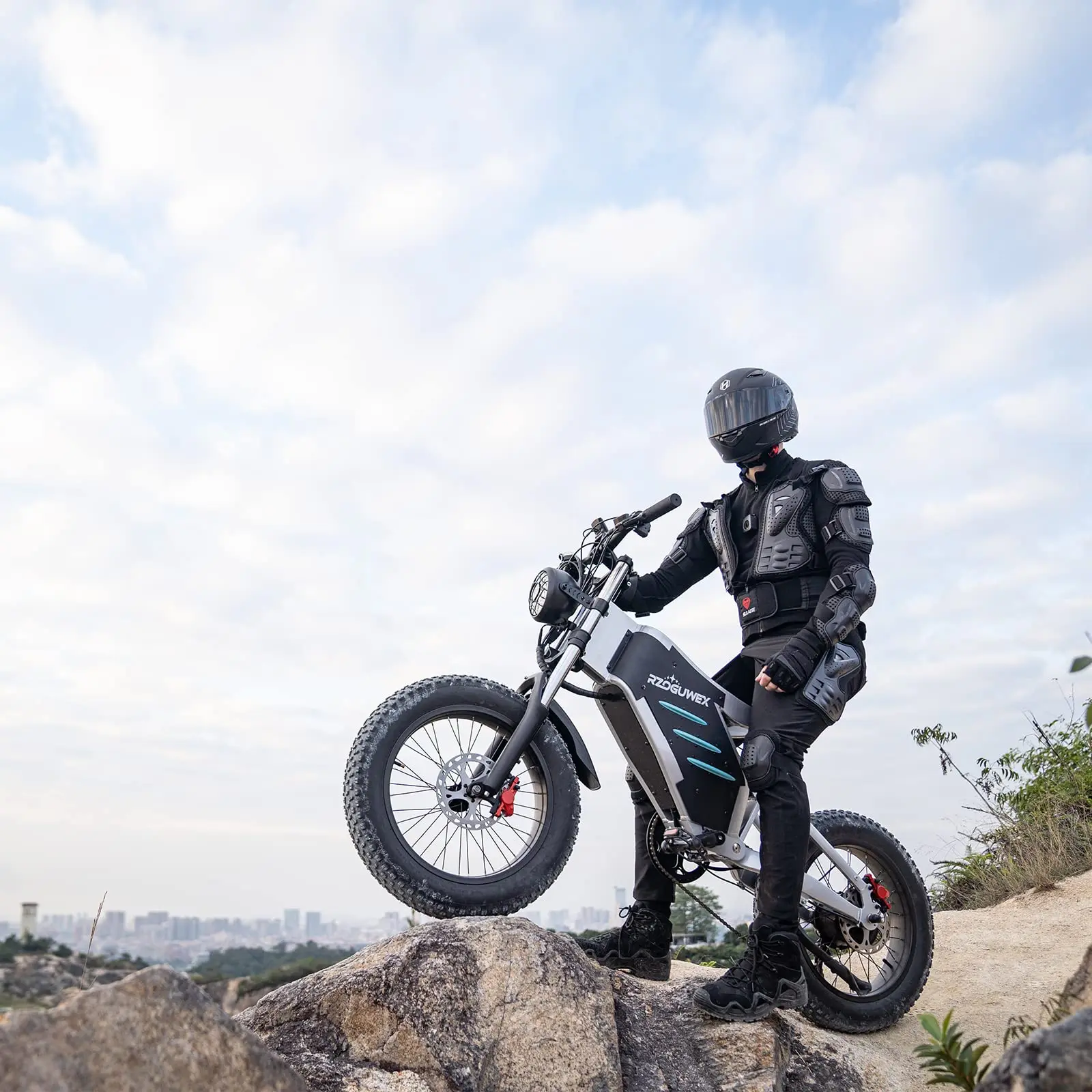 Aluminum 7 Gear High Speed Smart Men City Electric Road 1000w Mountain Dirt Fat Tire E Bike Manufacturer