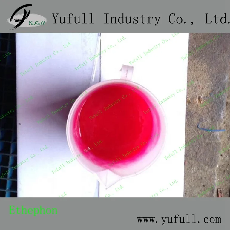 Ethephon 480G/L SL 40% SL 5% Paste PGR Plant Growth Regulator Rubber Tree growth promoter