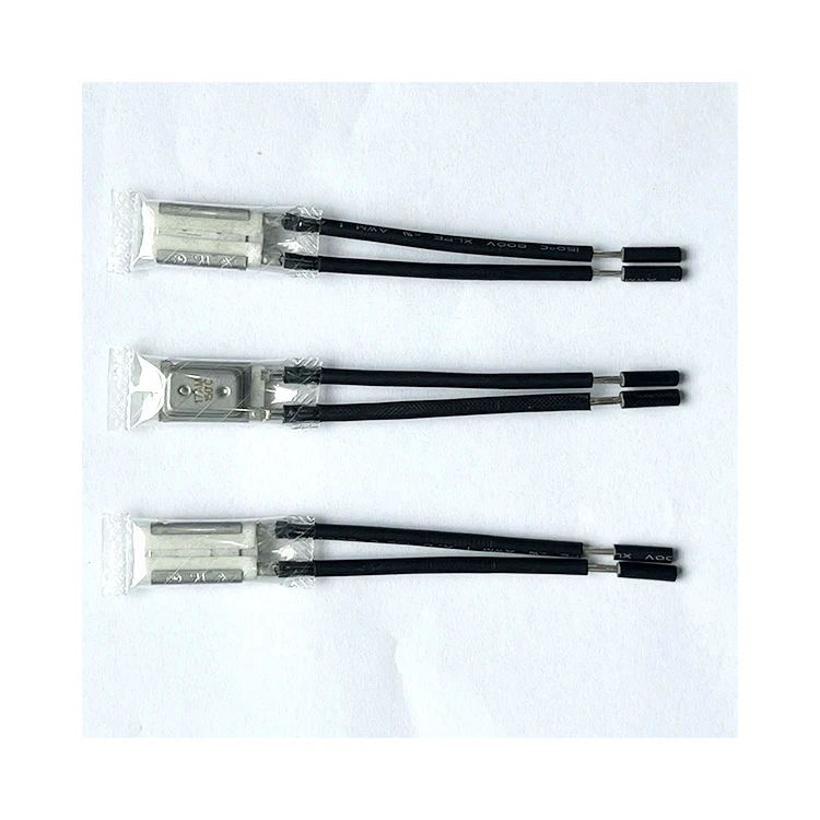 OEM High Quality 17am Thermal Protector Switch Electric/Battery-Powered Automatic Water Pump for Cars and Home Appliances