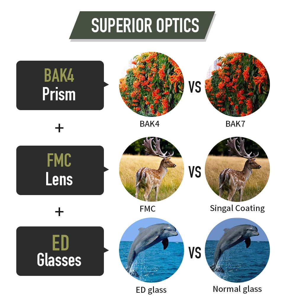 10x42 Waterproof 8x42 Telescopio Top Rated Binoculars For Bird Watching
