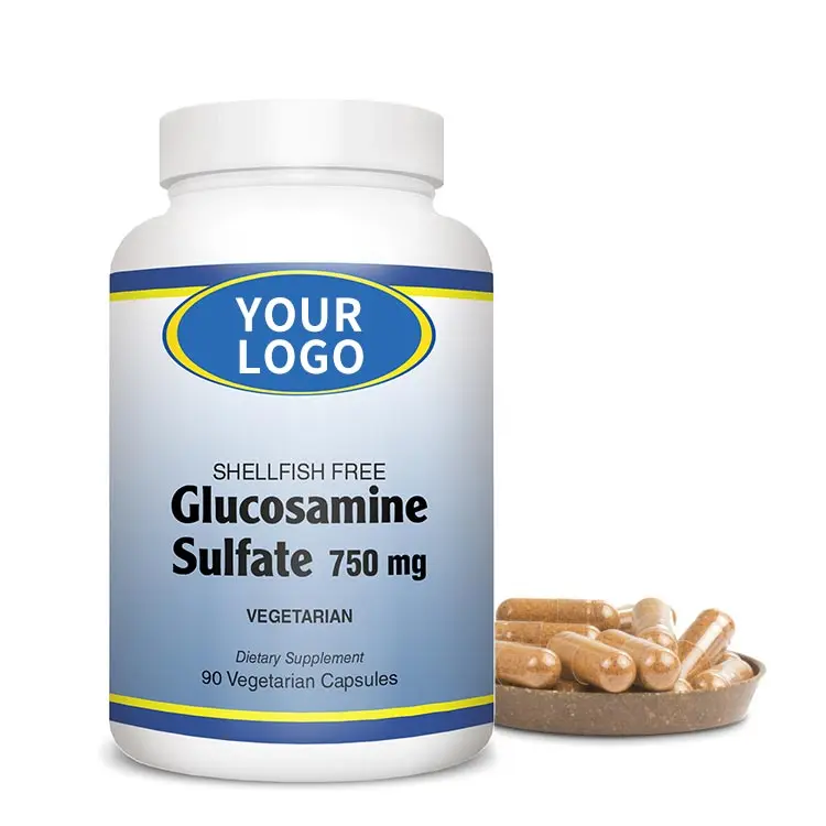 Glucosamine chondroitin msm supplement capsules