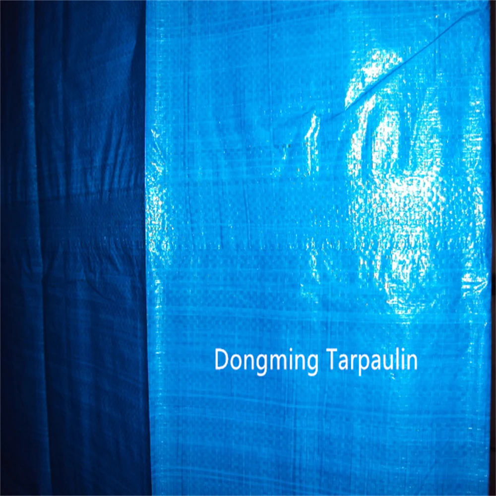 Factory Supply Blue 50gsm Light Weight PE Tarpaulin Plastic Tarpaulin Canvas Price for General Purpose Dust Sheet