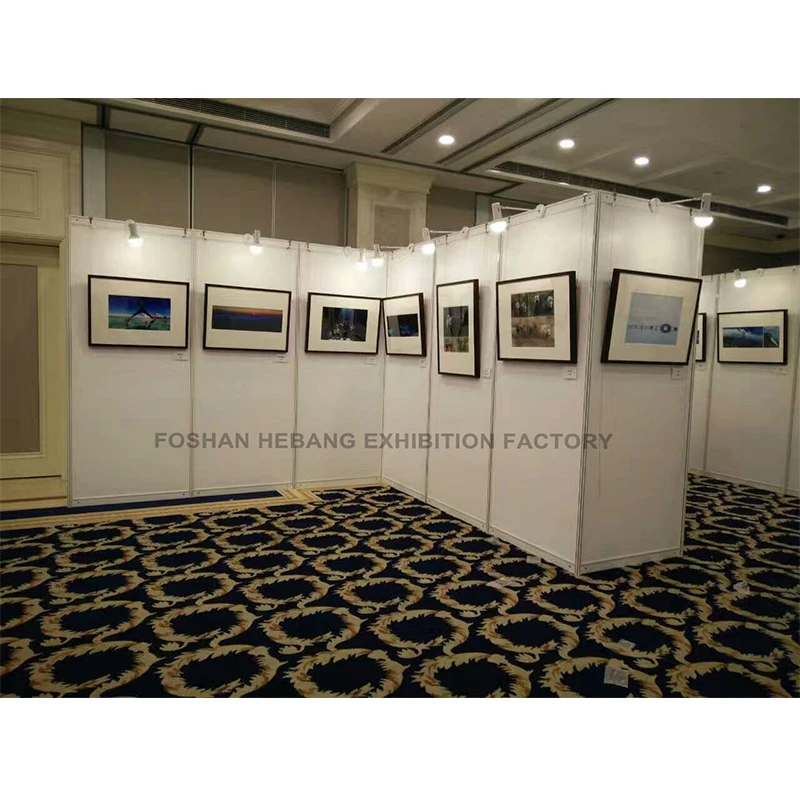 
 Художественная стена для выставки/Полностью герметичная панель/настенная панель для украшения музеев и дисплеев  