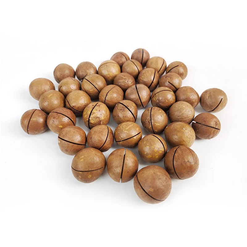 Оптовая продажа обезжиренные здоровые закуски со вкусом сливочного ореха макадамия Вкусные Жареные Ядра макадамии