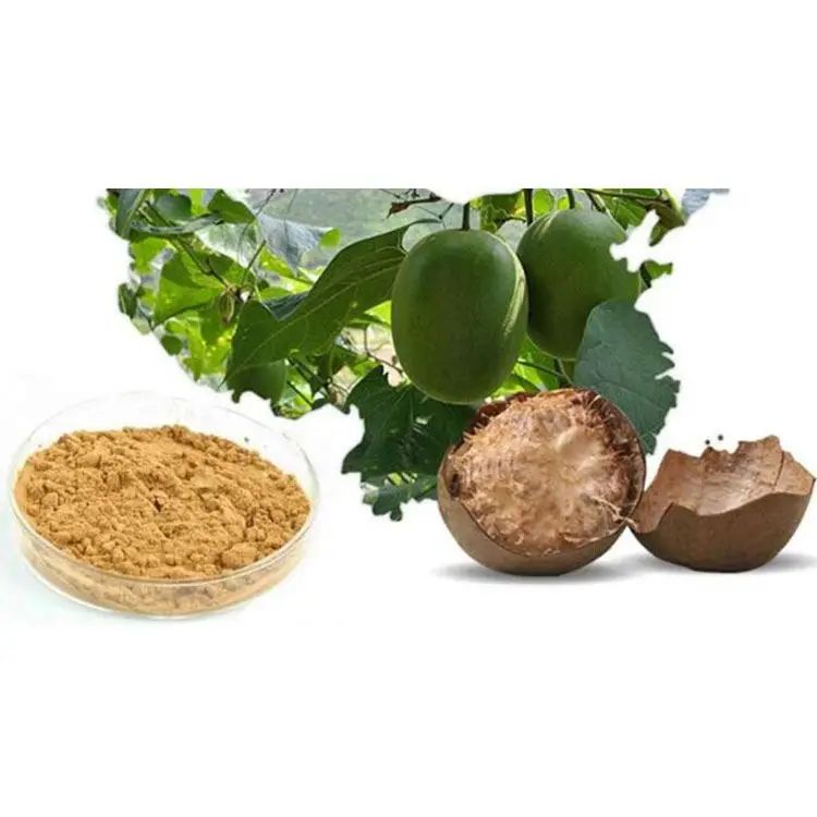 
Manufacturer Provide High Purity Monk Fruit Extract 
