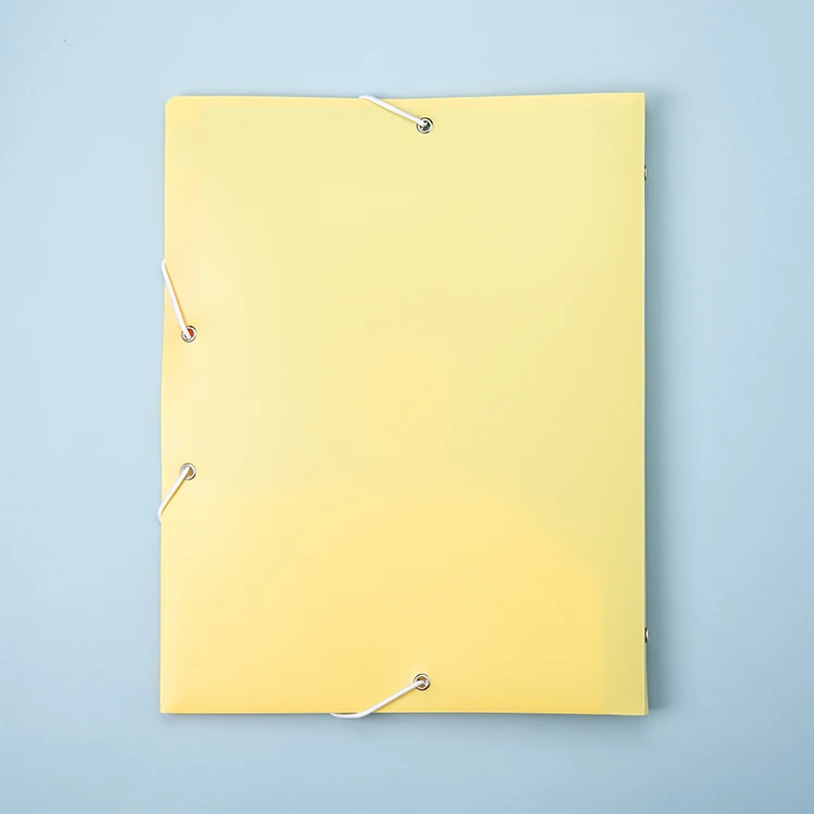 Professional Manufacturer Wholesale Large Capacity Plastic Expansion Folder Color Label Paging Folder with 6 tabs rainbow pages