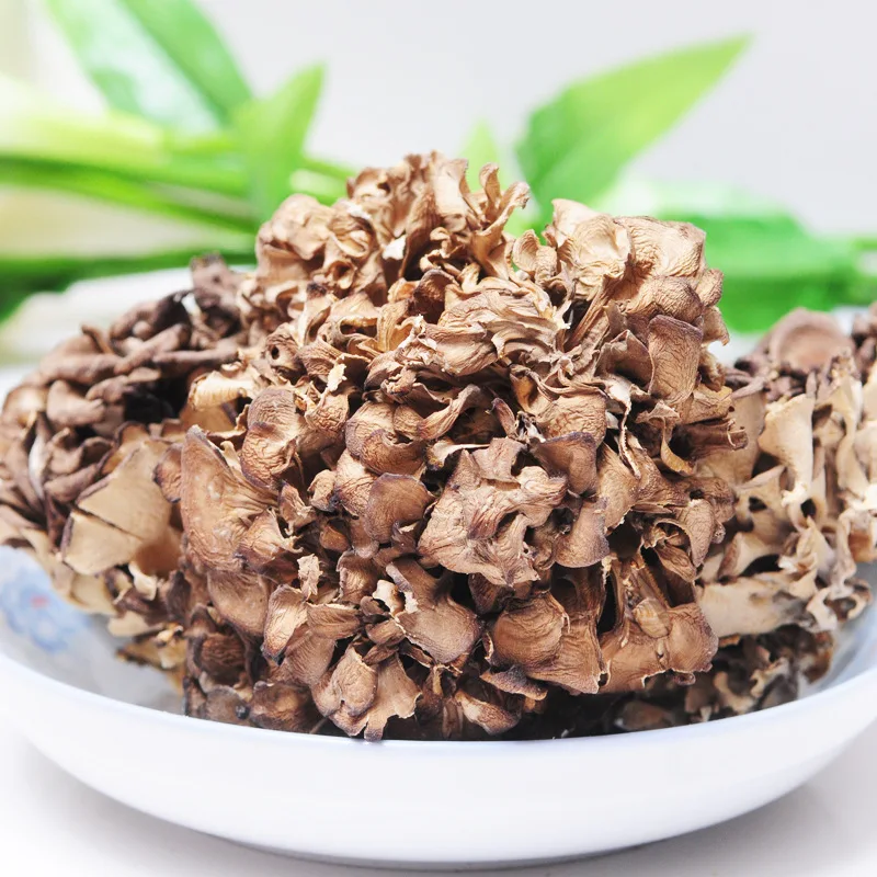 
healthy dried maitake mushroom raw grifola frondosa 1kg bulk price 