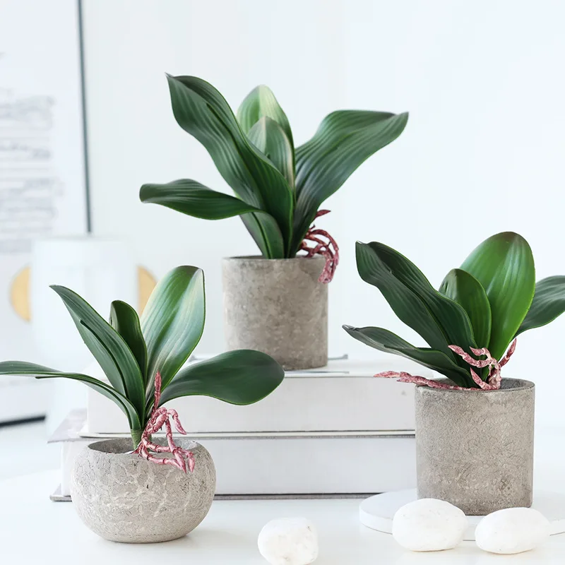 MAN Simulation Plant Phalaenopsis Leaf Feel Film Green Leaf Home Decoration Simulation Plant Small Pot Flower Arrangement Wholesale