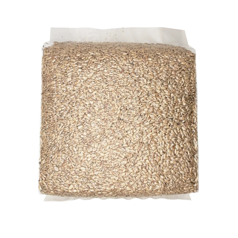 2022 Baking Grade Sunflower Kernel New Crop Raw Material China-made Double Cleaning Package Peeled Sunflower Seeds