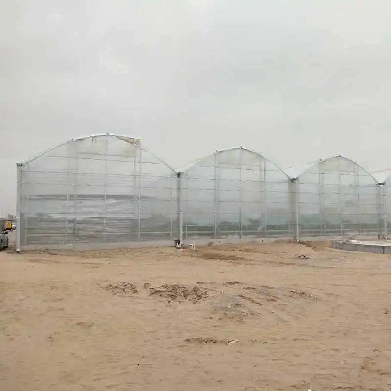 2024 pc sheet greenhouse for agriculture growing mushroom made in China