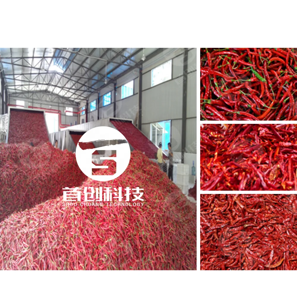 24 tons/24 Hrs automatic bird eye chili hot pepper belt drying machine with energy saving heat pump units