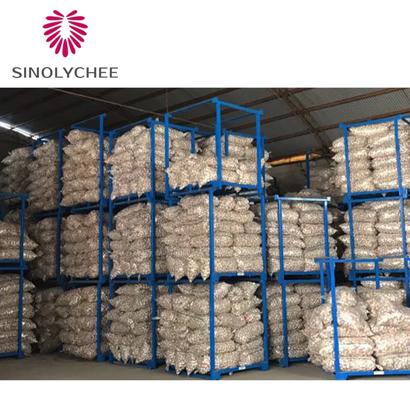 Frozen Whole Fresh White Garlic in bulk 20ft Wholesale Price