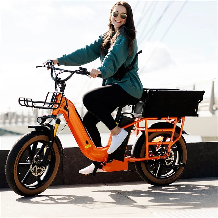 OEM Family Double Battery Long Tail Bafang Motor Fat Tire Cargo Bike 750W US E-Bikes Fat Tire 1000watt Electric Bicycle
