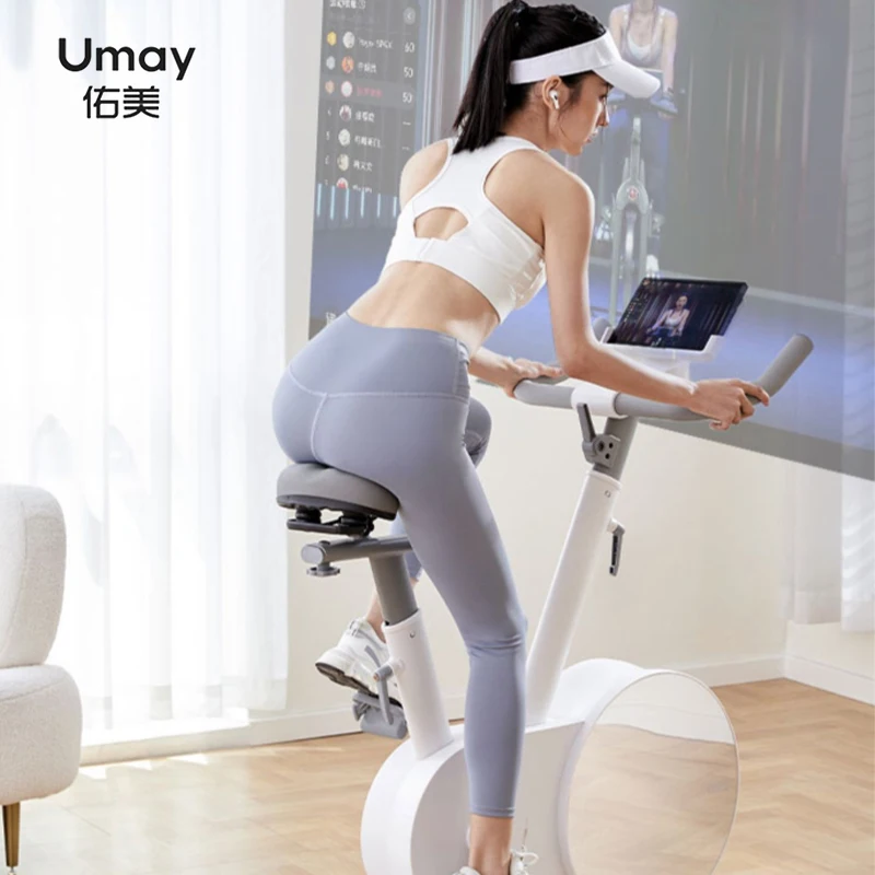 Factory Price Weight Loss Adjustable Speed Magnetic Exercise Cycling Bicycle