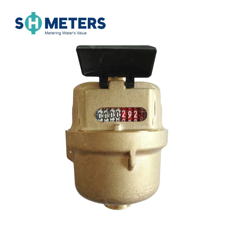 DN15~DN40 Class C Horizontal Water Meter for Residence Brass Body Reed Switch Screw Type Dry Dial OEM,ODM
