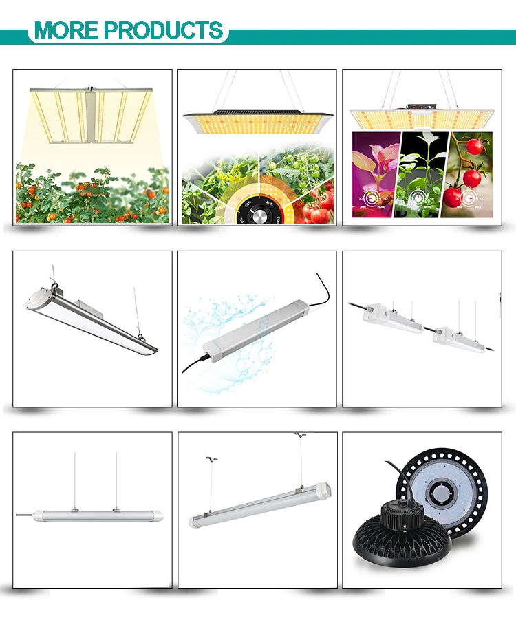 Highest Efficacy ETL Approved 640W Full Spectrum UV IR 2.82umol/J 730nm Higher Dimmable Led Grow Light Hydroponic For Indoor Plant