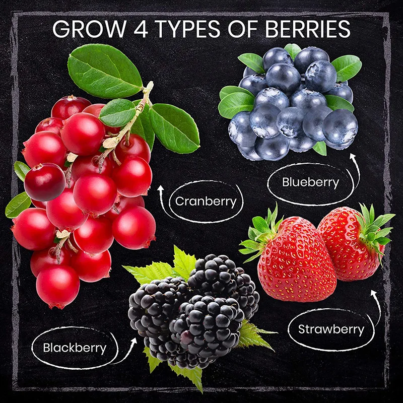 Garden Grow Kit Kitchen Starter Planting Set Children Adult planting Gift box wholesale