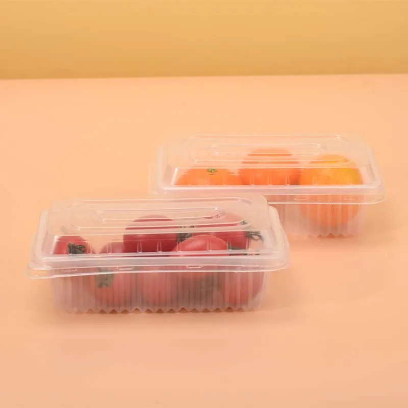 China Factory Wholesale Food Grade PP Plastic Containers Rectangle Sweets Chocolate Packaging Boxes with Cover