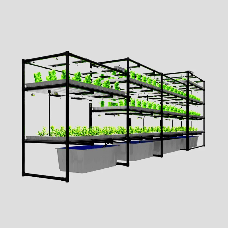 organic indoor farming microgreens diy hydroponic vegetable growing rack with led grow lights