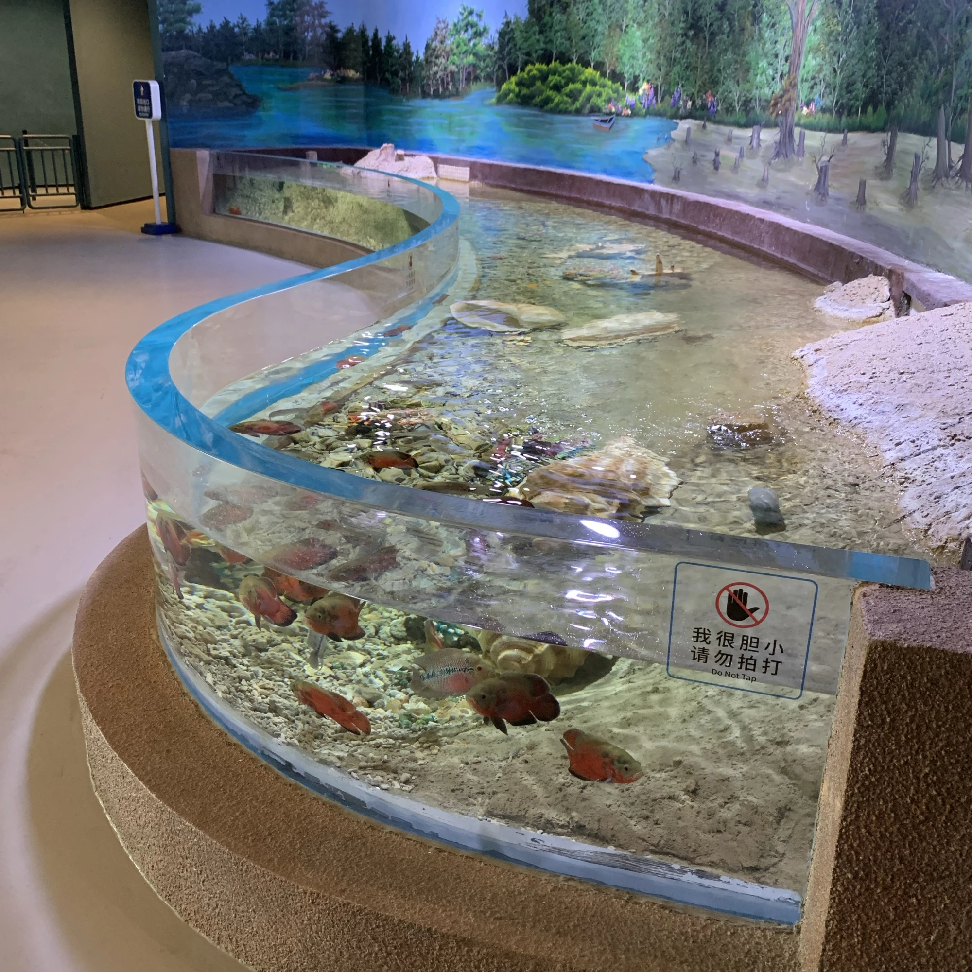 factory acrylic aquarium panel price for aquarium project