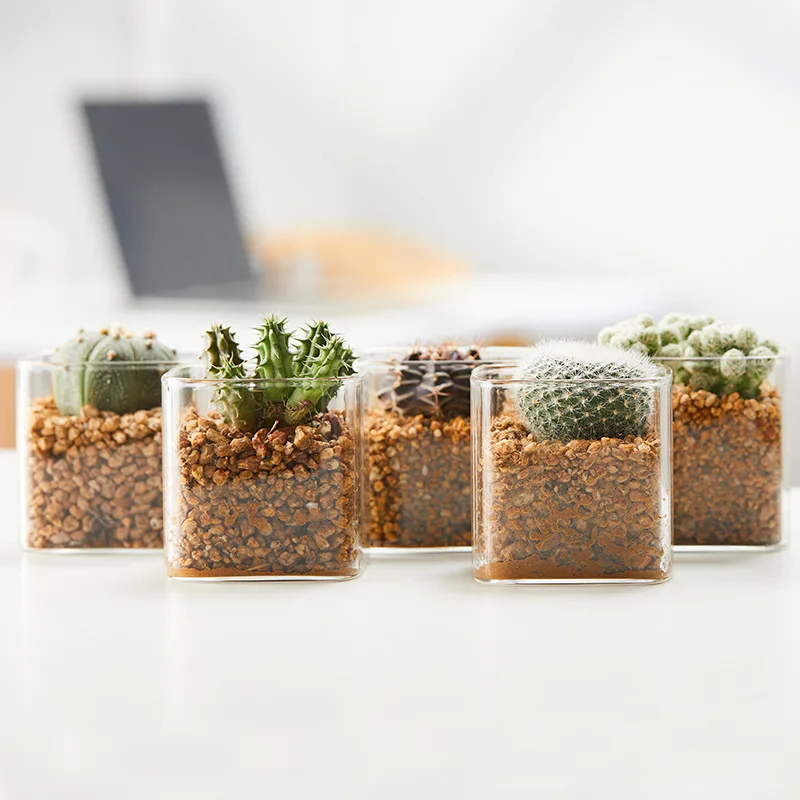 New style square small succulent pot indoor succulent planter pot