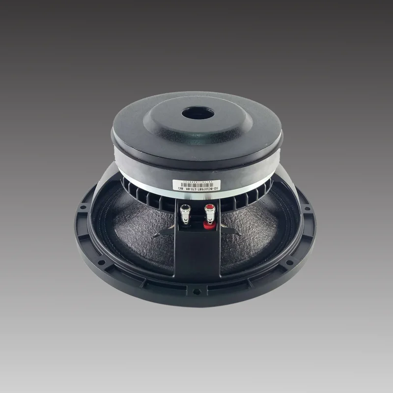 10inch speaker of 1075-170T, 700W program power
