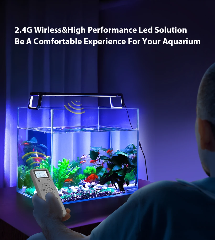 aquarium light (8).jpg