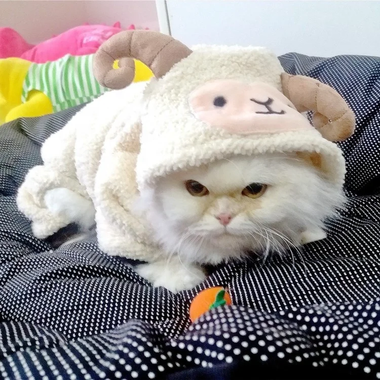 Sheep lamb beige fleece clothing cats accesories pet product supplies cat costume clothes