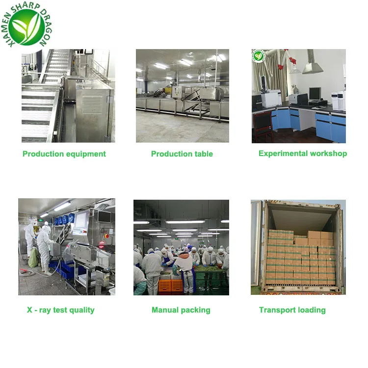 Export Wholesale 18-30mm Half Diced Iqf Frozen Cherry Tomato in Bulk Price