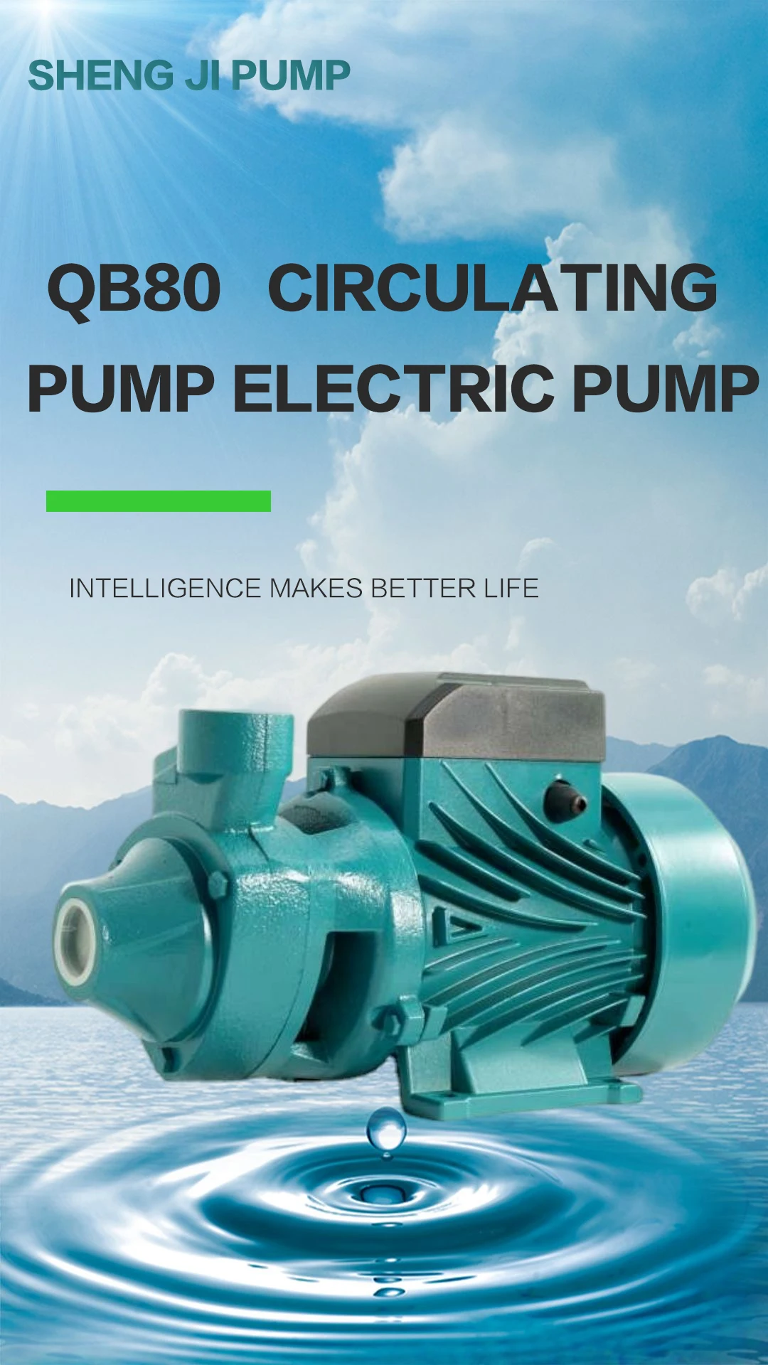 Qb80 Ac High Pressure Domestic Centrifugal Pump 1Hp 2Hp 110V 220V 230V Oem Customizable Cable