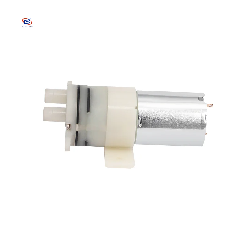 Professional Manufacturer Wholesale DC 6V 12V 24V Low Noise Diaphragm Electric Micro Mini Water Pump
