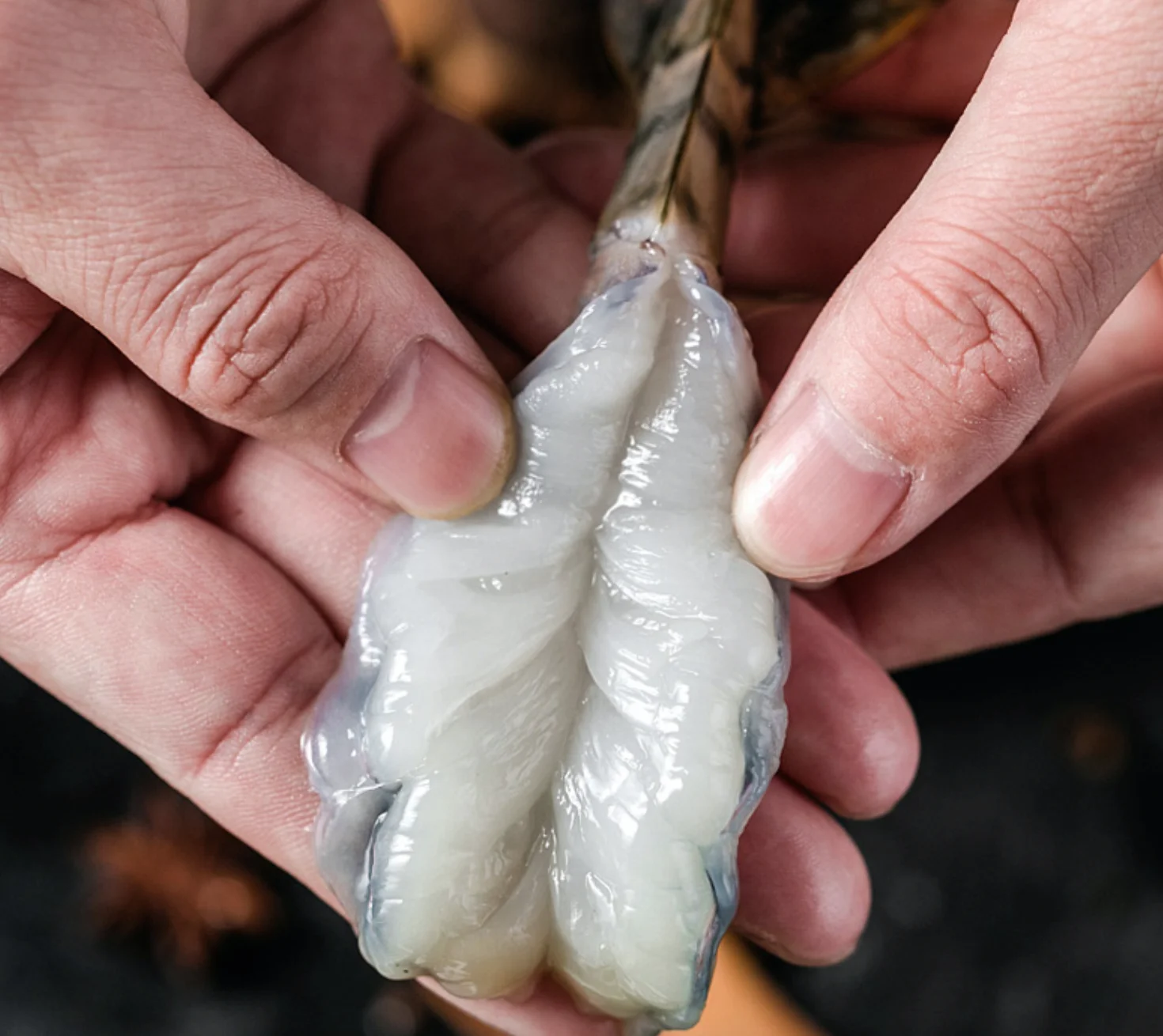 
 Прочный с использованием низкая цена детский рассол вишня морепродукты креветки  