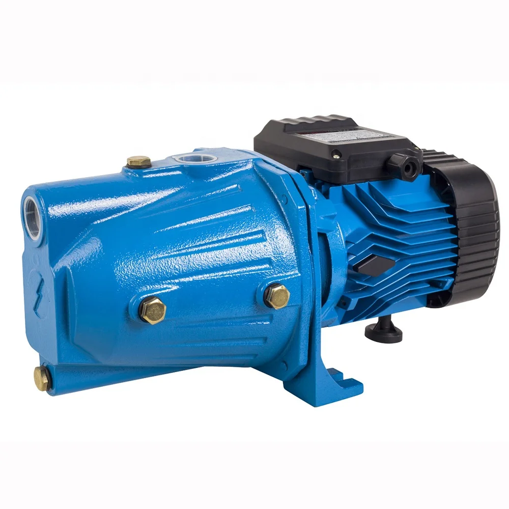 DACHENG 220V 1hp surface pressure pump electric impeller jet ski bomba water jet100 pumps