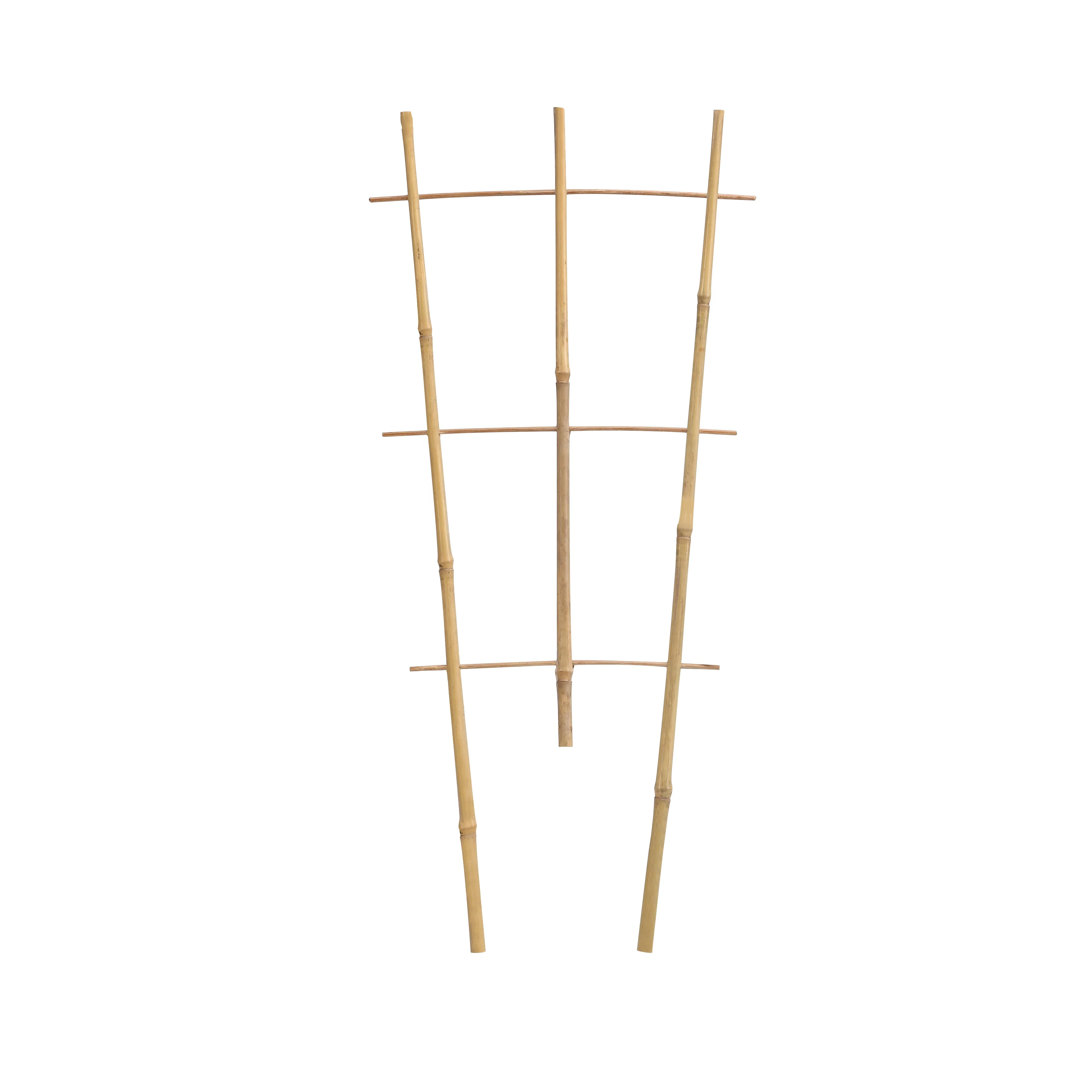 Fan trellis for climbing plant support garden flower decorated for garden buildings