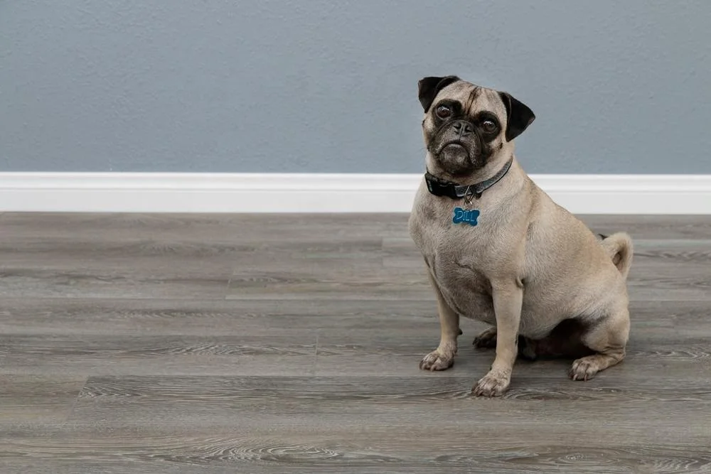 
2mm thickness Glue Down vinyl Planks plastic LVT floating PVC Flooring vinyl 