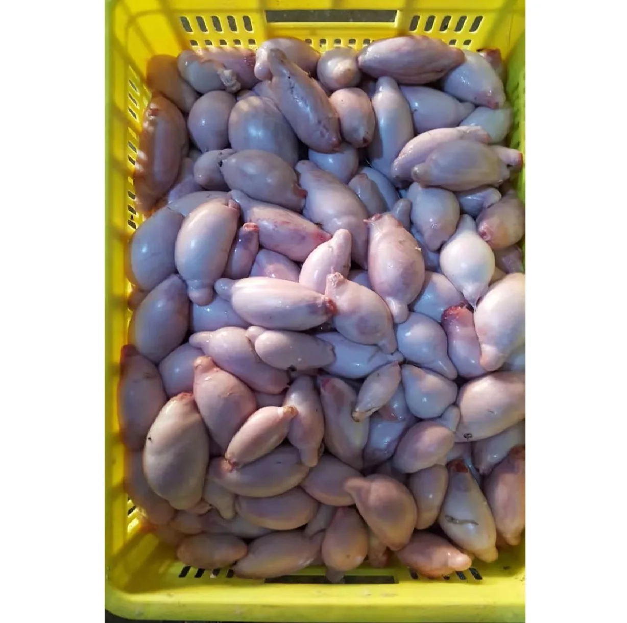 Сотовая говядина/соленая говядина/Говядина Omasum, соленая говядина Omasum, Органическая халяльная корова tripe