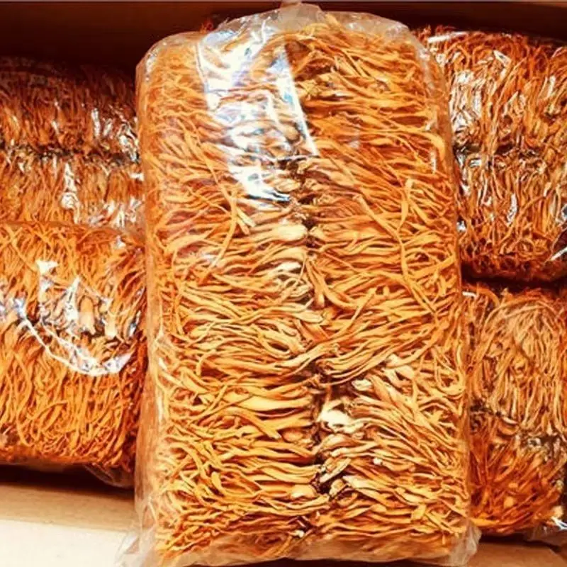 High quality cordyceps mushroom dry wholesale price