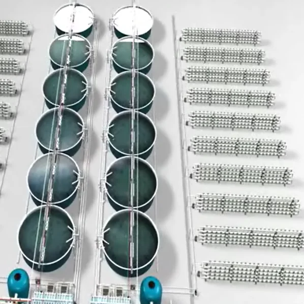 ECO Customized Fish / Recirculating Aquaculture System / Tilapia Fish Farming