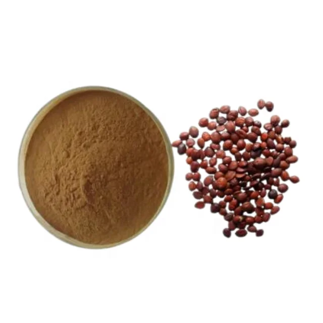 Organic Factory Certified Semen Ziziphi Spinosae Extract Jujube Seed Jujuboside Sour Jujube Kernel Extract in Food Grade Powder
