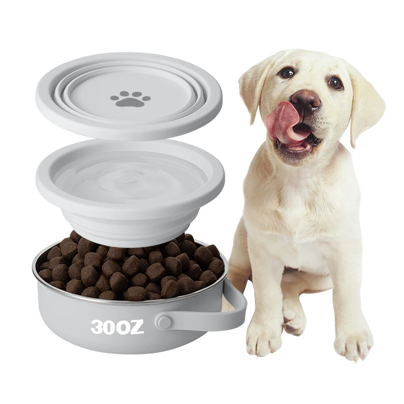2024 Christmas Black Friday 2 in 1 New Dog Bowl feeder 30 oz Stainless Steel Pet Feeding Dog bowl with silicon lid bowl