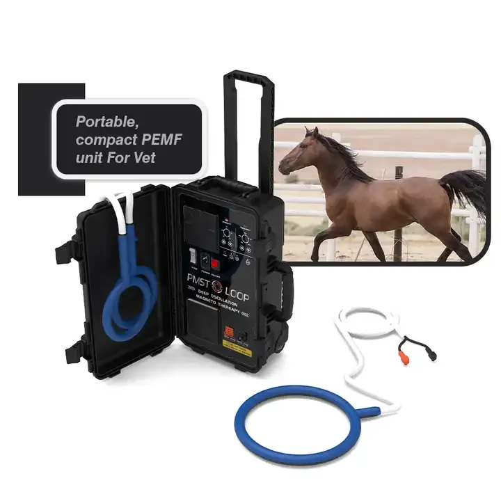Portable Electro Pmst Loop Pain Relief Pemf Magnetic Therapy Device Horse