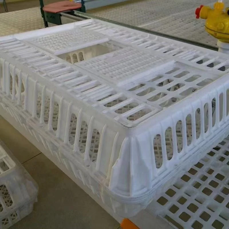 live chicken transport crate poultry plastic transport cage for duck chicken pigeon