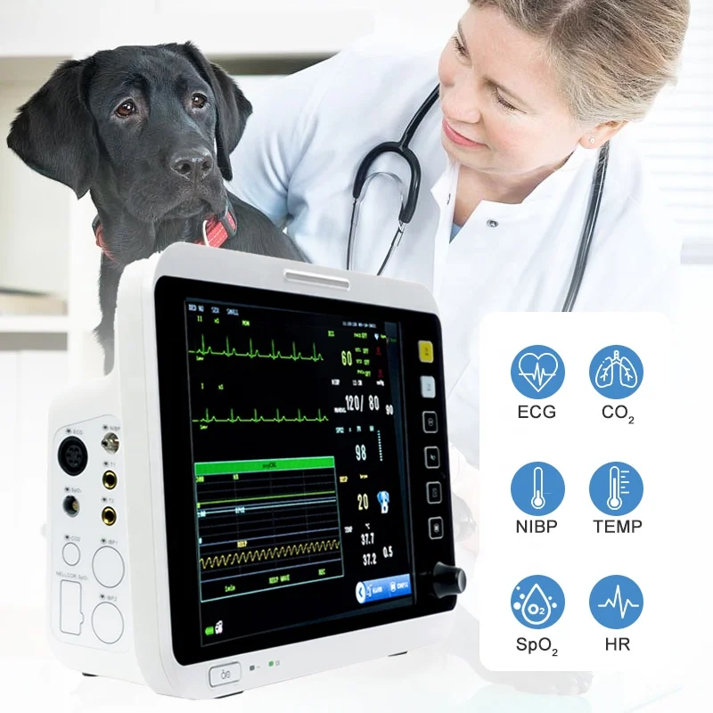 12.1 Inch Price Of Portable Animal Vet ICU Multiparameter Vital Signs Monitor Veterinarios Mini Veterinary ECG ETCO2 Pet Monitor