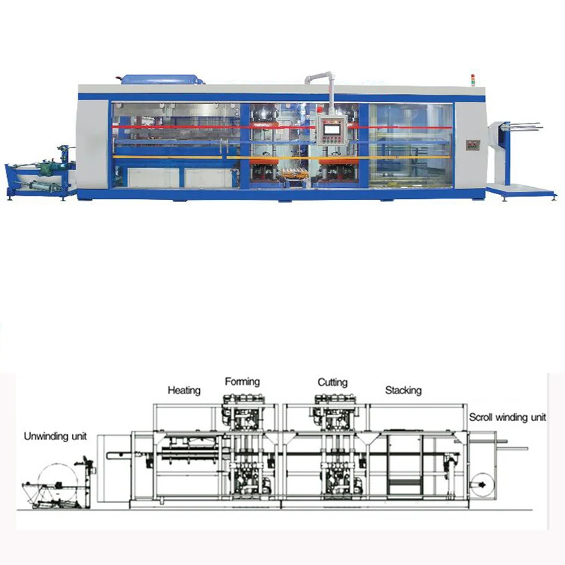 Biodegradable PLA Takeaway Food Tray Container Thermoforming Machine