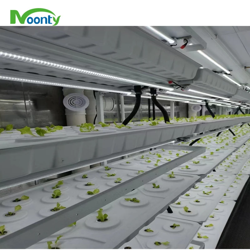 Agricultural Greenhouses Hydroponics System Container Vertical Farms Agriculture NFT Hydroponic System for Lettuce/Greens