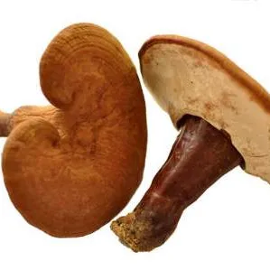 
100%natural Top Quality potato extract/Potato Powder Protein natural vegetable extract 