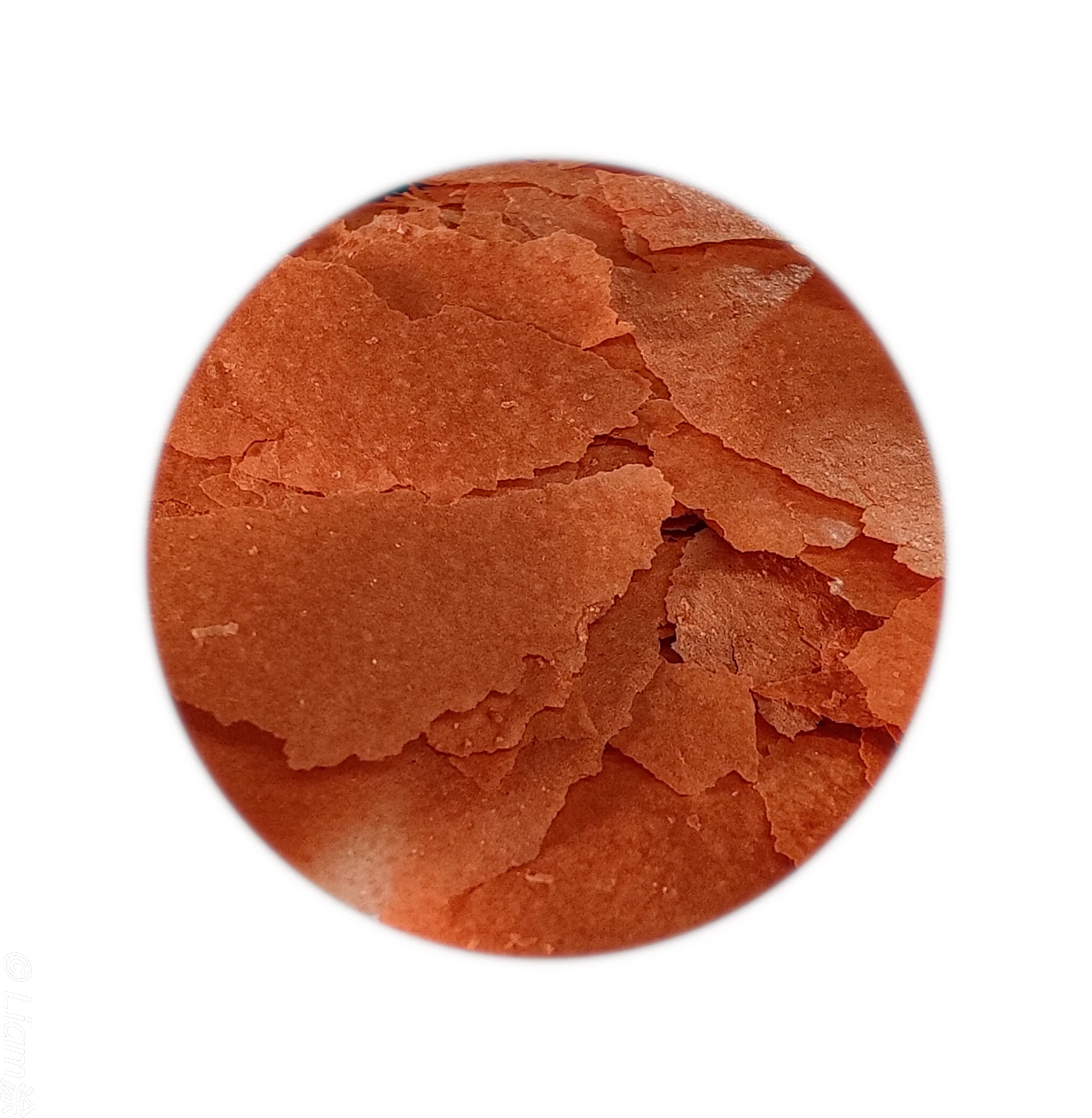 AquaV supports customized high-nutrient and high-protein 10L barreled brine shrimp flakes for fish