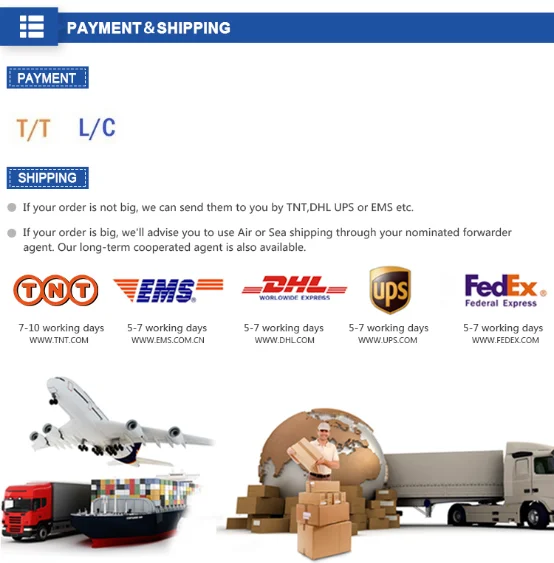 paste-pic-dp_uuid_qbymg