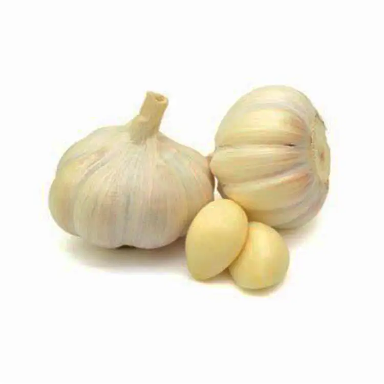 Лидер продаж, новый урожай свежего чеснока Премиум-Качества, Ганьсу, белый чеснок, оптовая продажа